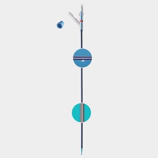 Y-type Ureteral Access Sheath